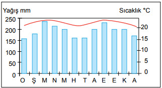 10.sınıf coğrafya test çöz