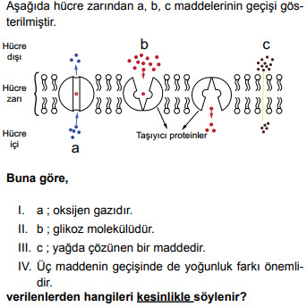 9.sınıf  biyoloji test çöz