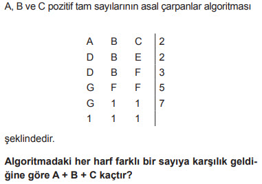 11.sınıf bölünebilme test